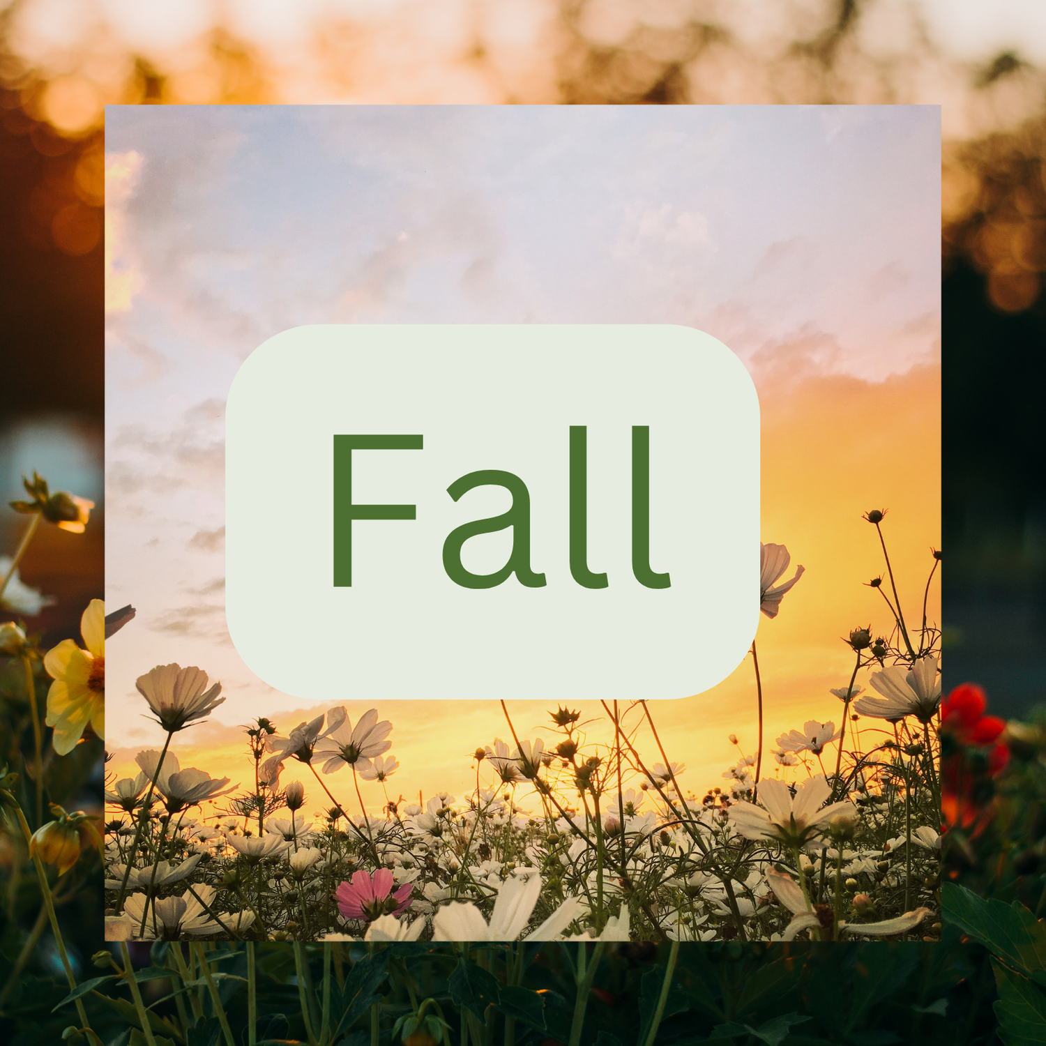 Fall